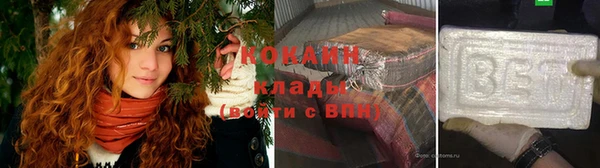 твердый Богданович