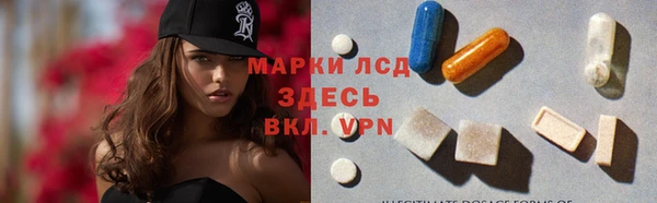 твердый Богданович