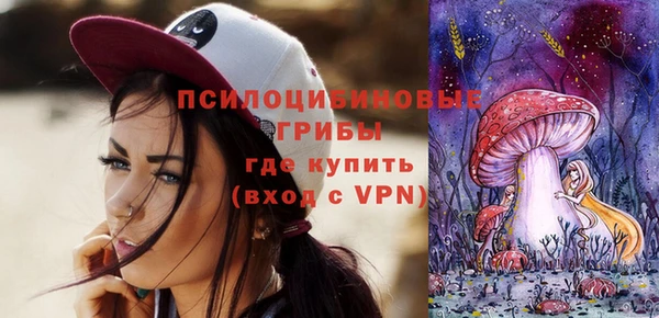 твердый Богданович