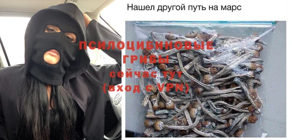 mix Богородск
