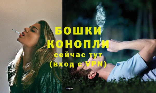 твердый Богданович