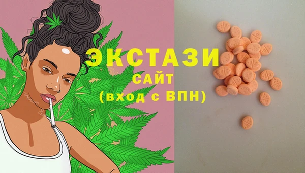 твердый Богданович