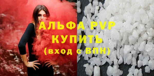 твердый Богданович