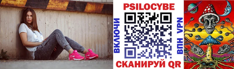 blacksprut tor  дарнет шоп  Шилка  Галлюциногенные грибы мухоморы 